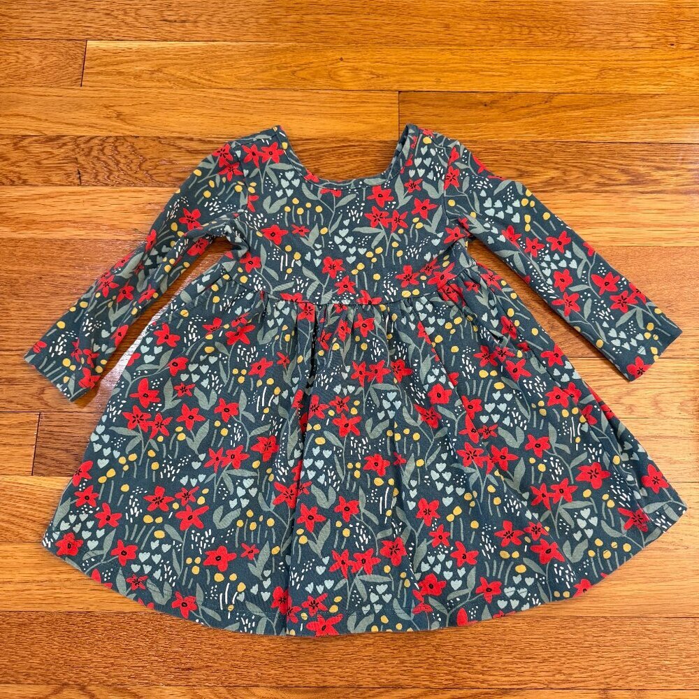 Hanna Andersson Long-Sleeve Skater Dress Green with Red Floral Print - Size 2T
